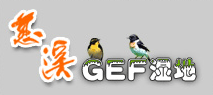 Ningbo logo