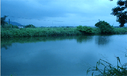 watery