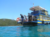 Livelihoods from Coral Reefs and Seagrass