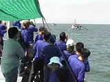 Fisheries Refugia Workshop Video