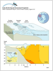 A schematic diagram showing the inflow from the Mackenzie River trapped in the nearshore zone beneath the landfast ice Beyond the stamukhi zone, intermittent opening and refreezing in the flaw lead produces brine which encourages mixing and convection