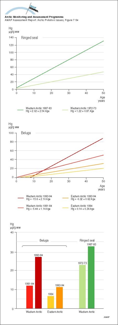 Age accumulation and temporal comparison of mean concentrations of Hg in liver tissue of ringed seal (Phoca hispida) and beluga whale (Delphinapterus leucas) fron the Canadian Arctic (map/graphic/illustration)