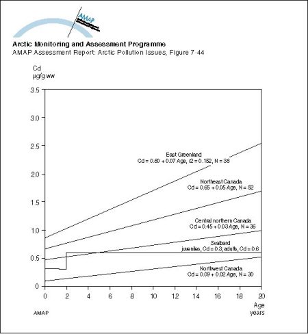 Age accumulation of Cd in liver of polar bears from different Arctic regions (map/graphic/illustration)