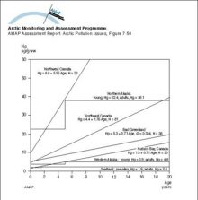 Age accumulation of Hg in liver of polar bears from different Arctic regions