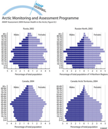 Age-gender population structure of Russia and Canada in comparison to their Arctic regions