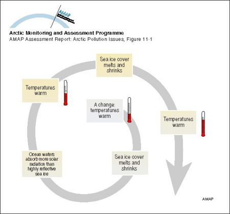 An example of a positive feedback loop Warming leads to a decrease in sea ice cover which in turn leads to a decrease in albedo over the ocean, the result of which is further warming and further decreases in the sea ice cover (map/graphic/illustration)