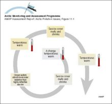 An example of a positive feedback loop Warming leads to a decrease in sea ice cover which in turn leads to a decrease in albedo over the ocean, the result of which is further warming and further decreases in the sea ice cover