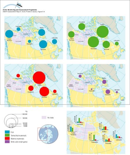 Annual indigenous subsistence production in Arctic Canada, by category, in total kg and percent of harvest (map/graphic/illustration)