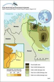 Approximate forest damage zones in the vicinity of Monchegorsk and Nikel and the visible-damage and non-visible-damage zones on the Kola Peninsula and Finnish Lapland The inset shows coverage (%) of lichens (Hypogymnia physodes and Parmelia olivacea) on