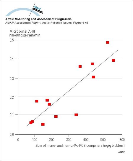 Aryl hydrocarbon hydroxylase (AHH, nmol/mg microsomal protein/min) activities in liver microsomes of beluga taken from the Eskimo Lakes area of the Mackenzie Delta, as a function of PCB congener concentrations in blubber (map/graphic/illustration)