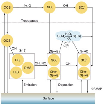 Atmospheric sulphur cycle (map/graphic/illustration)