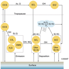 Atmospheric sulphur cycle