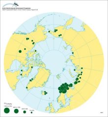 Average activity concentrations of 137Cs in reindeer meat after 1990