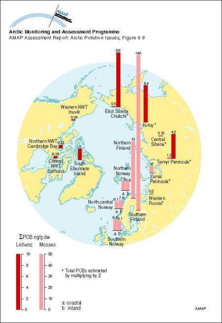 Average concentration (ng/g dw) of PCBs in Arctic lichen and mosses (map/graphic/illustration)