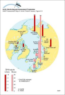 Average concentration (ng/g dw) of PCBs in Arctic lichen and mosses