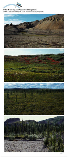 Biogeographical zones within the AMAP assessment area, a) High Arctic, b) Low Arctic, c) subarctic, and d) boreal forest