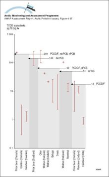 Body concentrations of PCDD/F and non-ortho and mono-ortho PCBs as TCDD equivalents (pg/g lw) in Arctic mammals compared to thresholds for immunosuppression in harbor seal for the same combinations of substances analyzed