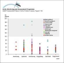 Cadmium levels in kidney of adult marine birds from Greenland Levels associated with potential for kidney damage are above 100 µg/g ww