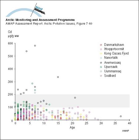 Cadmium levels in kidney of adult ringed seals from Greenland and Svalbard Levels associated with potential for kidney damage are above 100-200 µg/g ww (map/graphic/illustration)