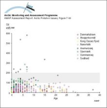 Cadmium levels in kidney of adult ringed seals from Greenland and Svalbard Levels associated with potential for kidney damage are above 100-200 µg/g ww