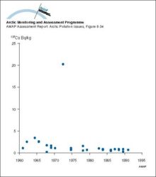 Changes with time in 137Cs activity concentration in whales from Greenland waters