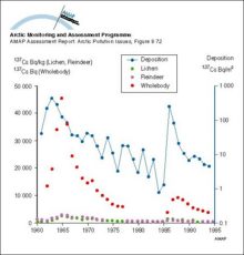 Changes with time in 137Cs contamination in the food chain lichen - reindeer - humans