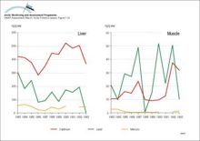 Changes with time in concentrations of Cd, Pb and Hg in liver and muscle tissue of reindeer (Rangifer tarandus) sampled in three districts in eastern Sweden