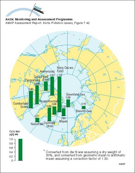 Circumpolar distribution of Cd levels in liver tissue of Arctic cod (Boreogadus saida) Arithmetic mean concentrations (map/graphic/illustration)