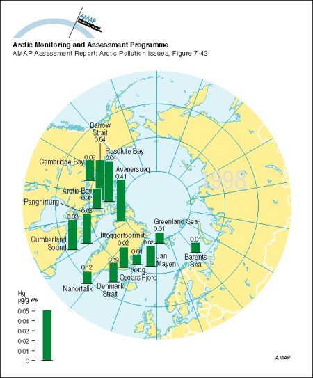 Circumpolar distribution of Hg levels in muscle tissue of Arctic cod (Boreogadus saida) Arithmetic mean concentrations (map/graphic/illustration)