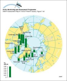 Circumpolar distribution of Hg levels in muscle tissue of Arctic cod (Boreogadus saida) Arithmetic mean concentrations