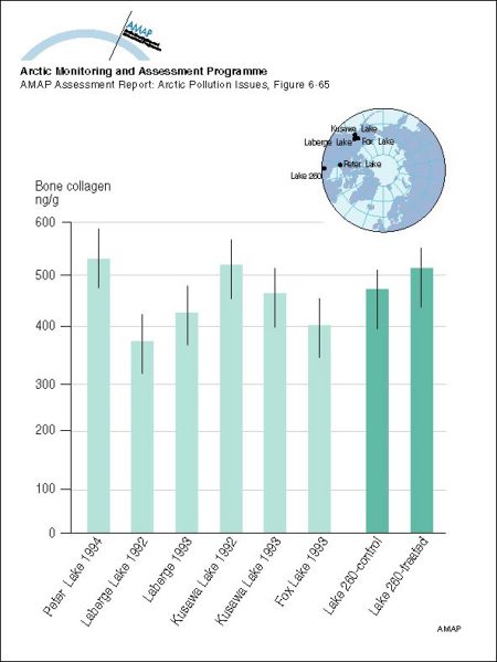 Comparison of bone collagen in lake trout from Peter Lake, NWT and from Yukon lakes, and in toxaphene- treated and control fish from Lake 260 (map/graphic/illustration)