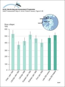 Comparison of bone collagen in lake trout from Peter Lake, NWT and from Yukon lakes, and in toxaphene- treated and control fish from Lake 260