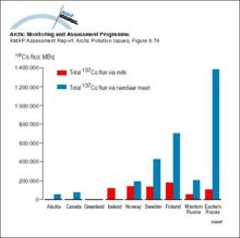 Comparison of the predicted flux of 137Cs in milk and reindeer meat in different Arctic areas, for the first year after an assumed uniform deposition of 100 kBq/m2