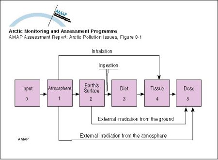 Compartment model used to assess doses from releases of radioactive materials to the atmosphere from nuclear testing (map/graphic/illustration)