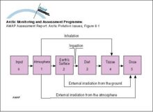 Compartment model used to assess doses from releases of radioactive materials to the atmosphere from nuclear testing