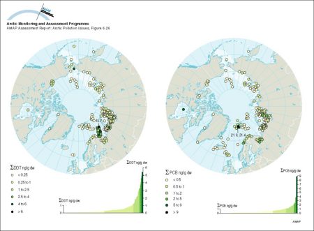 Concentrations of sum-DDT and sum-PCB in marine surface sediments (from grab samples or from top slices of cores) on a circumpolar basis, and the ranked distribution of values (map/graphic/illustration)