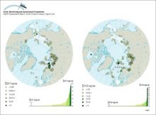 Concentrations of sum-DDT and sum-PCB in marine surface sediments (from grab samples or from top slices of cores) on a circumpolar basis, and the ranked distribution of values