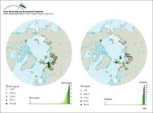 Concentrations of sum-HCH and HCB in marine surface sediments (from grab samples or from top slices of cores) on a circumpolar basis, and the ranked distribution of values