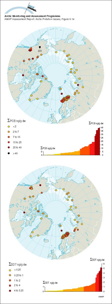 Concentrations of sum-PCB and sum-DDT in surface sediments (from grab samples or from top slices of cores) on a circumpolar basis, and the ranked distribution of values (map/graphic/illustration)