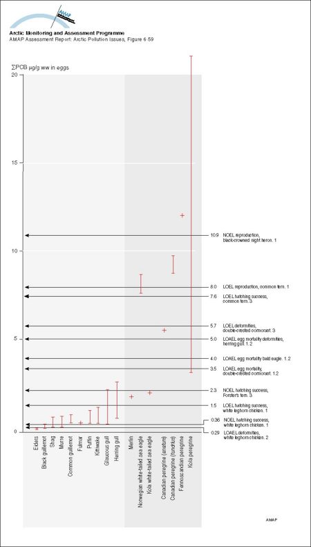 Concentrations of sum-PCB (µg/g ww) in Arctic bird eggs compared to thresholds for avian effects (1 Barron et al 1995, 2 Giesy et al 1994b, 3 Bosveld and Van den Berg 1994) (map/graphic/illustration)