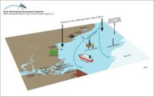 Conceptual model of the coastal zone and marine environments showing the main subcompartments and contaminant transfers, and exchanges with the atmosphere