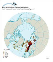 Cs-137 activity concentrations in surface seawater in 1979 and 1982