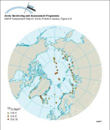 Cs-137 activity concentrations in surface seawater in 1994