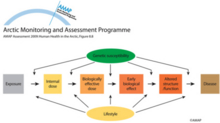 Different types of biomarker in the pathogenic sequence between exposure and disease