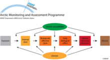 Different types of biomarkers in the pathogenic sequence between exposure and disease