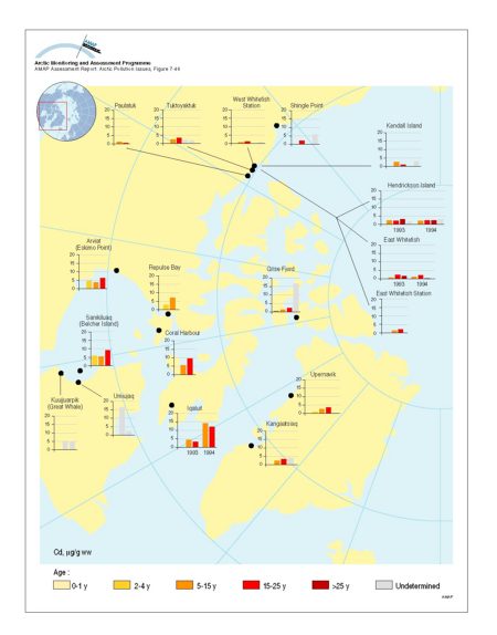 Distribution of Cd levels in liver tissue of beluga whale (Delphinapterus leucas) of different ages Plots show selected data (geometric mean values) from Annex Table 7A15 (map/graphic/illustration)