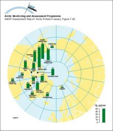 Distribution of Hg levels (age adjusted to 69 years, Svalbard adults) in liver tissue of polar bear (Ursus maritimus)