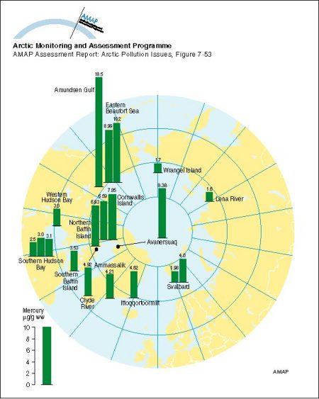 Distribution of Hg levels in hair of polar bear (Ursus maritimus) (map/graphic/illustration)