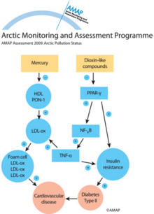 Effect of mercury and dioxin-like compounds on the pathogenesis of diabetes and its complications