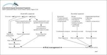 Elements involved in the evaluation and handling of risks from environmental contaminants